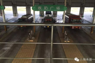 香港二四六资料免费大全