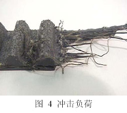 香港二四六资料免费大全