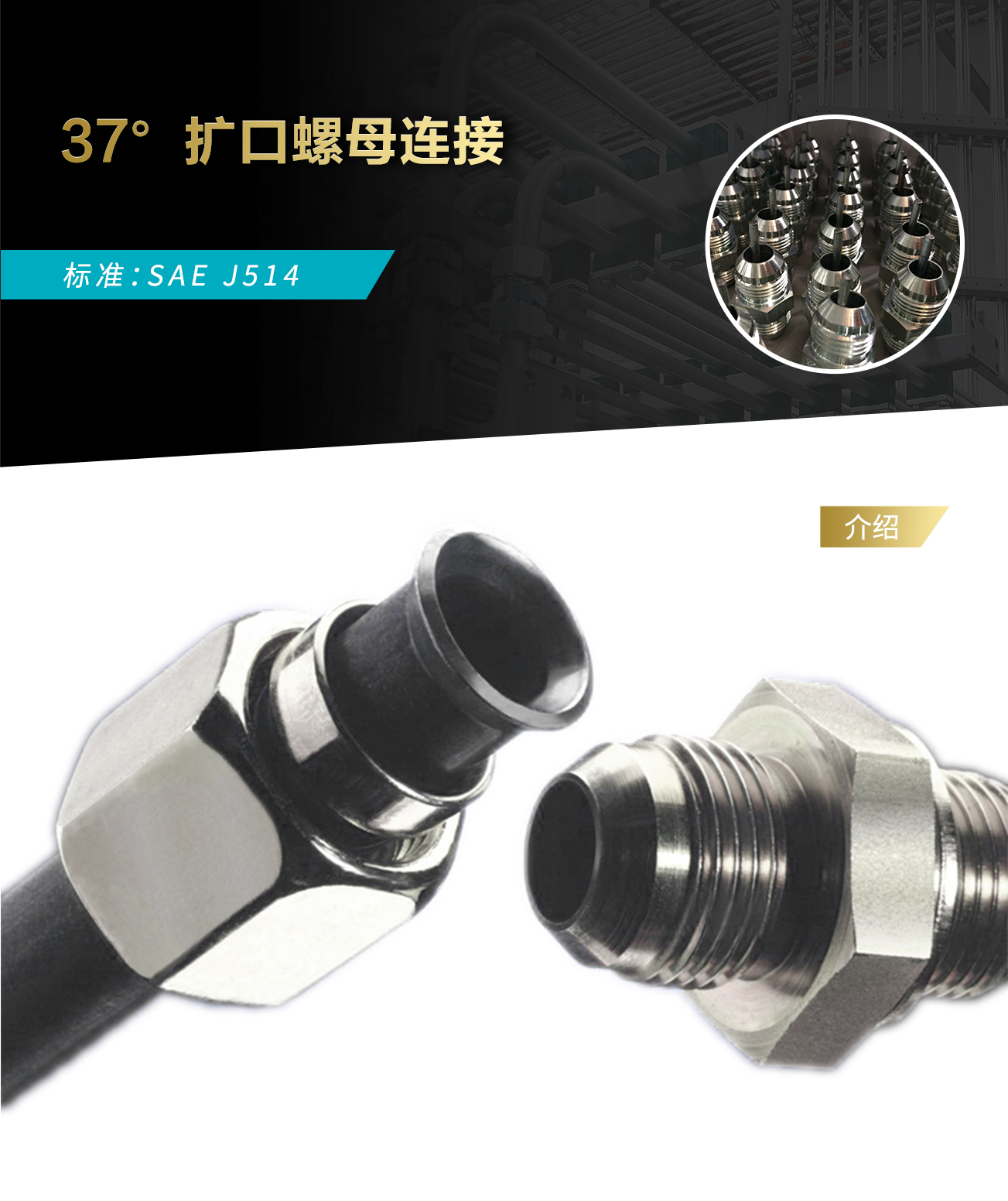 香港二四六资料免费大全