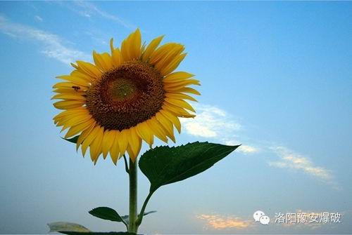 香港二四六资料免费大全